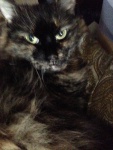 My beautiful, little girl, Rita