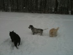 Winter-time in NJ